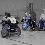 DSCN0527