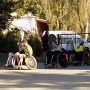 DSCN0300