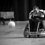 img 020