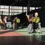 IMG 5254