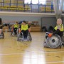 IMG 4411