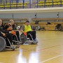 IMG 4434
