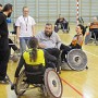 IMG 4455