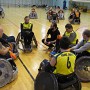 IMG 4460