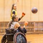 IMG 4371