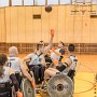 IMG 4442