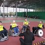 IMG 0261