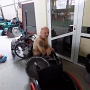 DSCN0018