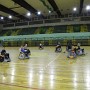 IMG 5401