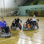 IMG 5426