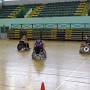 IMG 5457