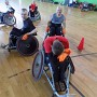 DSCN0241