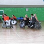 IMG 0221