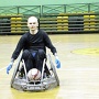 IMG 0246