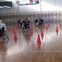 IMG 0415