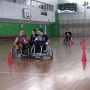 IMG 0417